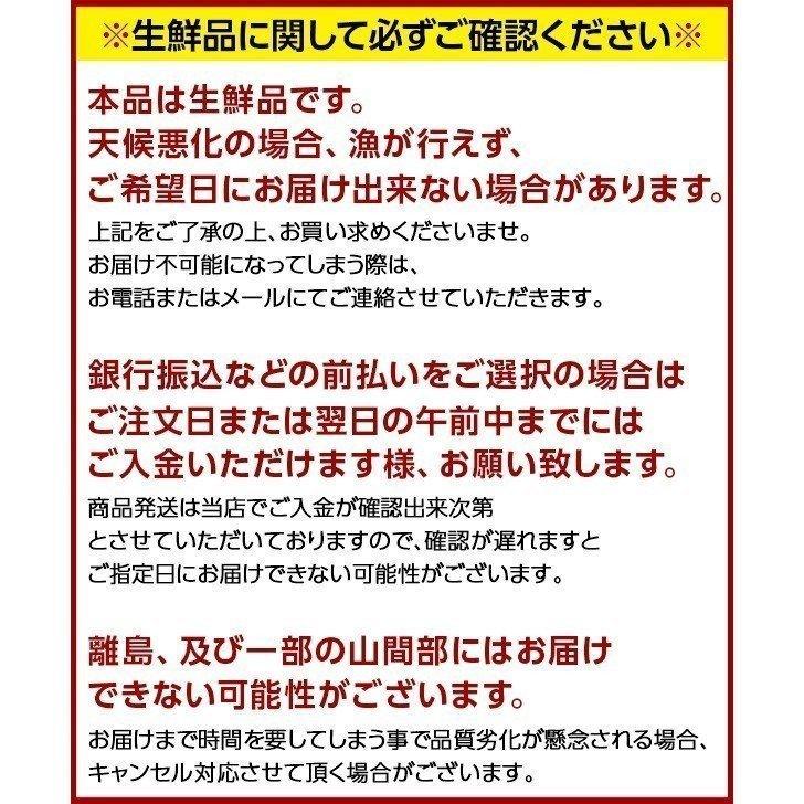 北海道 厚岸産 生剥き牡蠣 400g(20～24個程度)殻剥き不要 送料無料