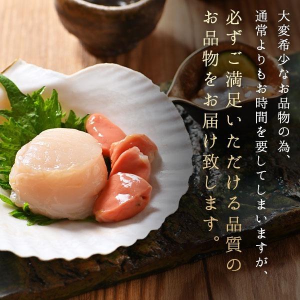 北海道 野付産 活ホタテ 6枚（1.8-2.1kg程度）【送料無料】未冷凍 生食OK！バーベキューにも!