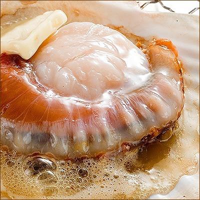 北海道 野付産 活ホタテ 6枚（1.8-2.1kg程度）【送料無料】未冷凍 生食OK！バーベキューにも!