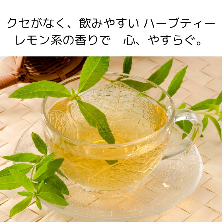 【送料無料】高貴な香りのハーブ 「レモンバーベナ鉢植え」(沖縄県は、別途料金800円)