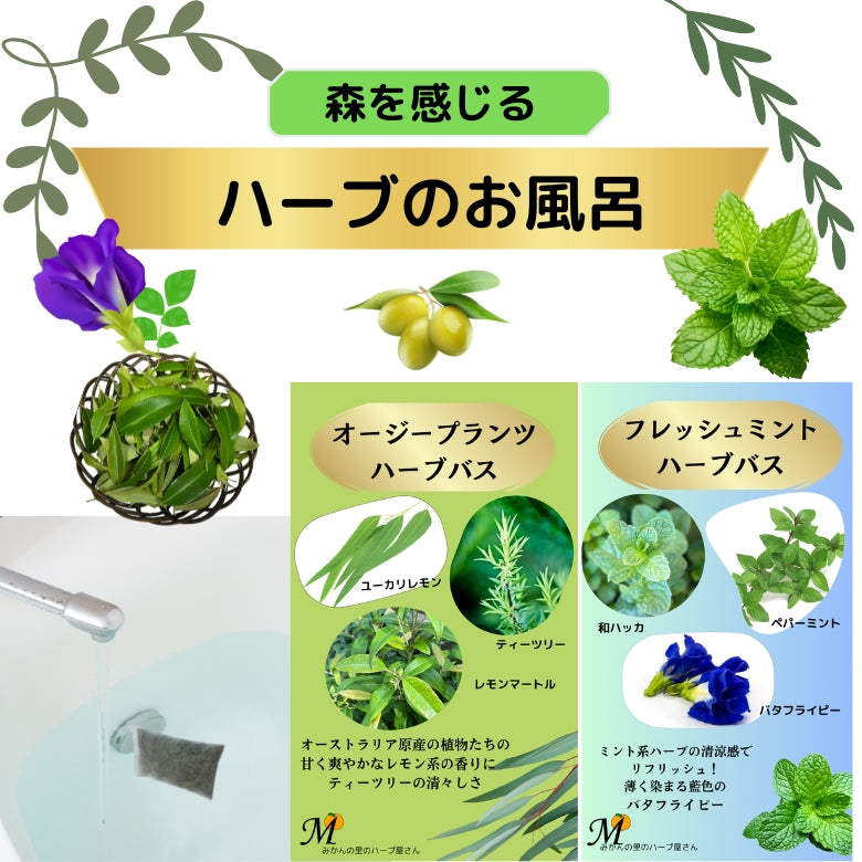 【母の日に】愛媛の香り箱　『やすらぎのハーブバス＆ハーブティー、爽やかな香りジャム』詰め合わせ