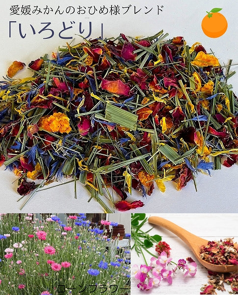 【送料無料・ネコポス便】愛媛かんきつのおひめ様ブレンドハーブティー3種セット　「いろどり」「やすらぎ」「ときめき」