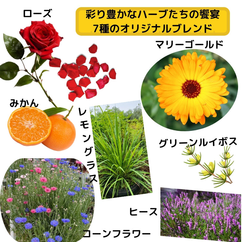 『いろどり』   美しさと香りに酔いしれる　ハーブティー！　愛媛みかんのおひめ様ブレンド