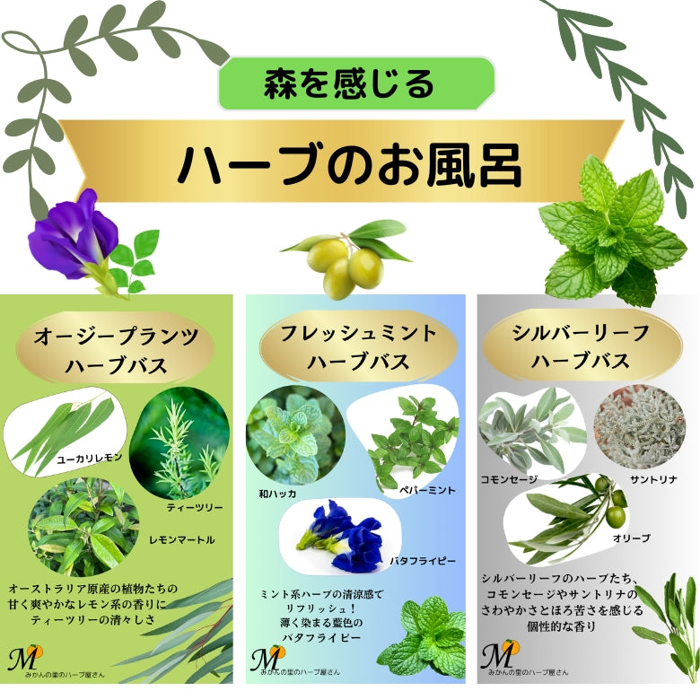 【5月7日～13日ポイント7倍】森を感じる 『ハーブのお風呂 ・3種セット』自家栽培の無農薬ハーブ 【ポスト投函・ゆうパケット・送料込み】