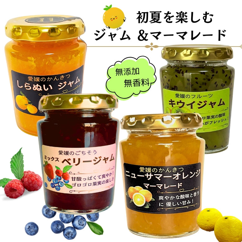 【送料無料】初夏を味わう　お楽しみ箱「愛媛のジャム＆マーマレード」4種セット