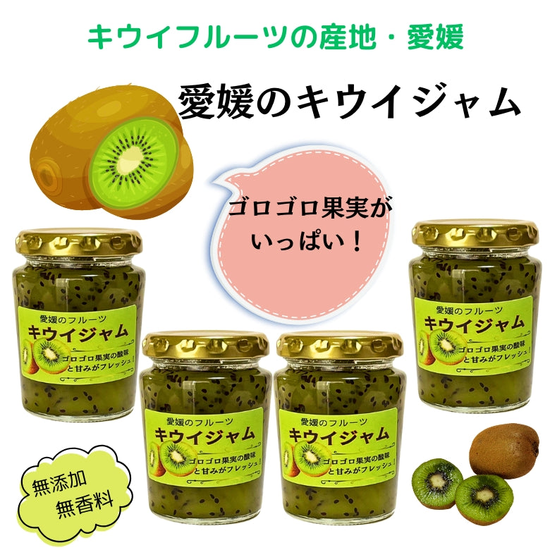 【2025年・販売開始です！】【送料無料】「愛媛のキウイジャム」4個セット、甘酸っぱい美味しさと ゴロゴロ果実！