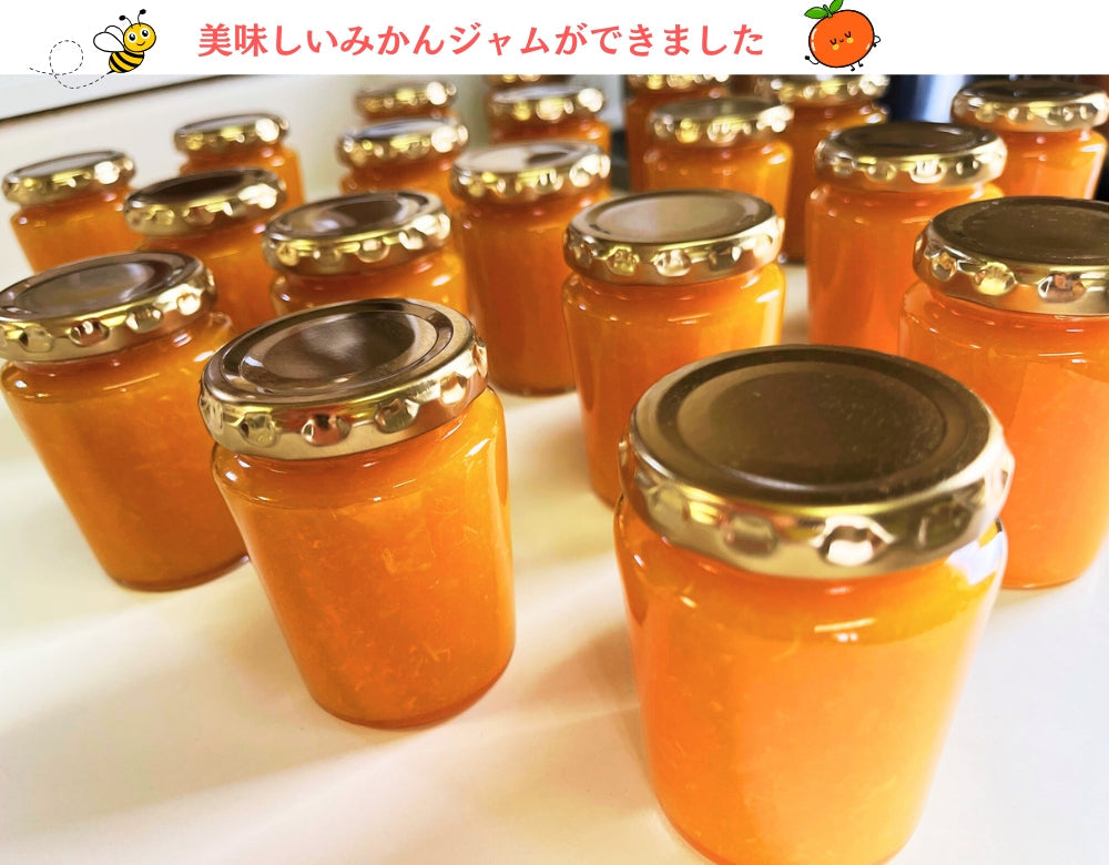 【2026年・福袋】【5500円相当】「愛媛のかんきつジャム＆マーマレード」6個セット、美味しさいっぱい！【夢箱】をお届けいたします。