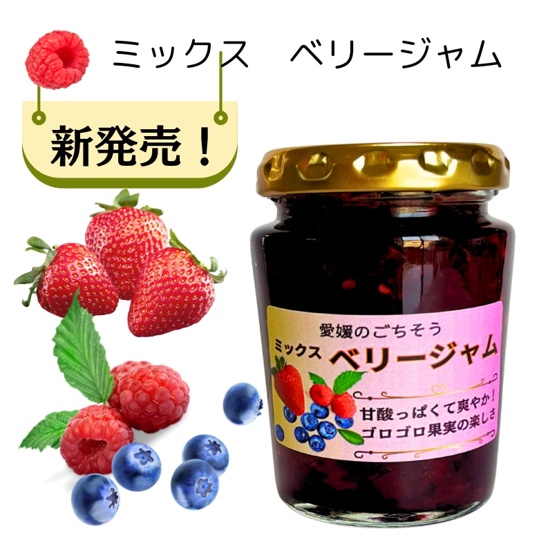 【送料無料】初夏を味わう　お楽しみ箱「愛媛のジャム＆マーマレード」4種セット