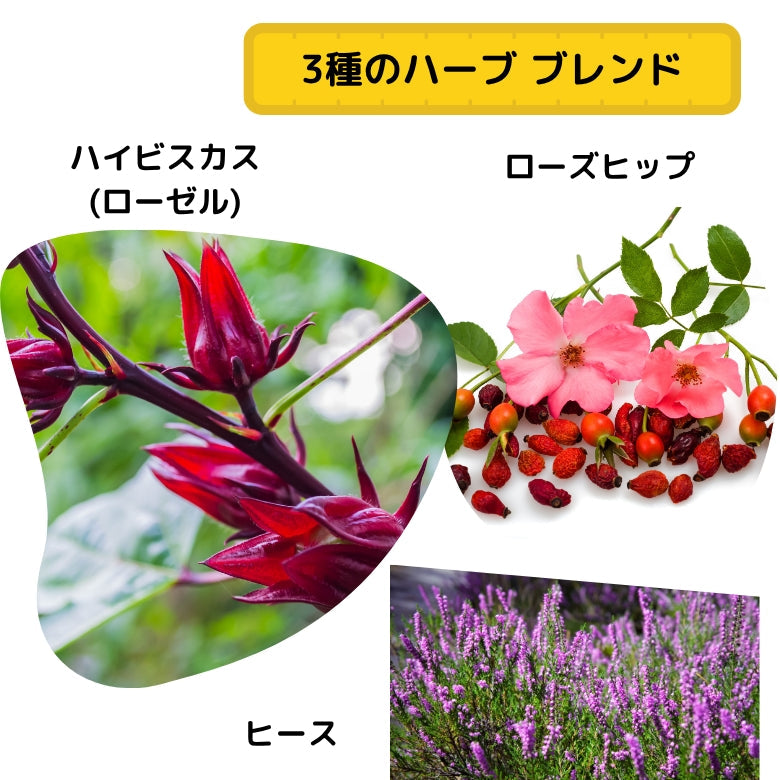 【お試し・送料無料】水出し『ハイビスカス ブレンド』１０個入り、さわやかな夏の味！