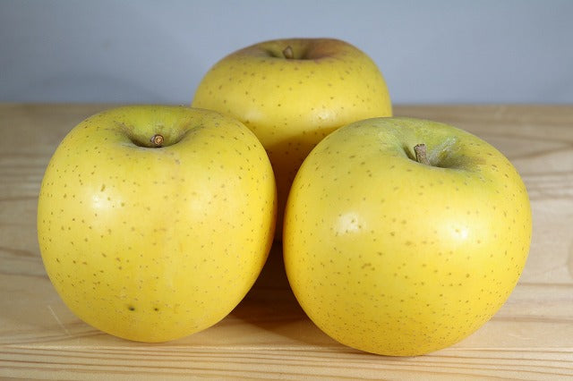 【送料込価格】しのぶの里のリンゴ「シナノゴールド」