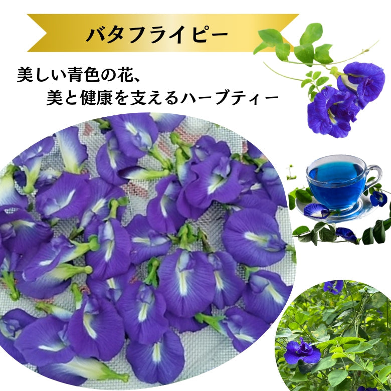 『ブルーガーデン』　鮮やかなブルーに ミントとレモン系ハーブが香る  ハーブティー！　愛媛のおひめ様ブレンド