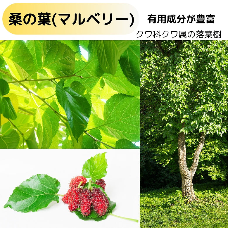 【送料無料】【お徳用・3袋セット】「菊芋ブレンドティー」30個入り、美味しく飲める健康茶、焙煎菊芋と桑の葉など7種の薬草ブレンドで毎日を元気に！