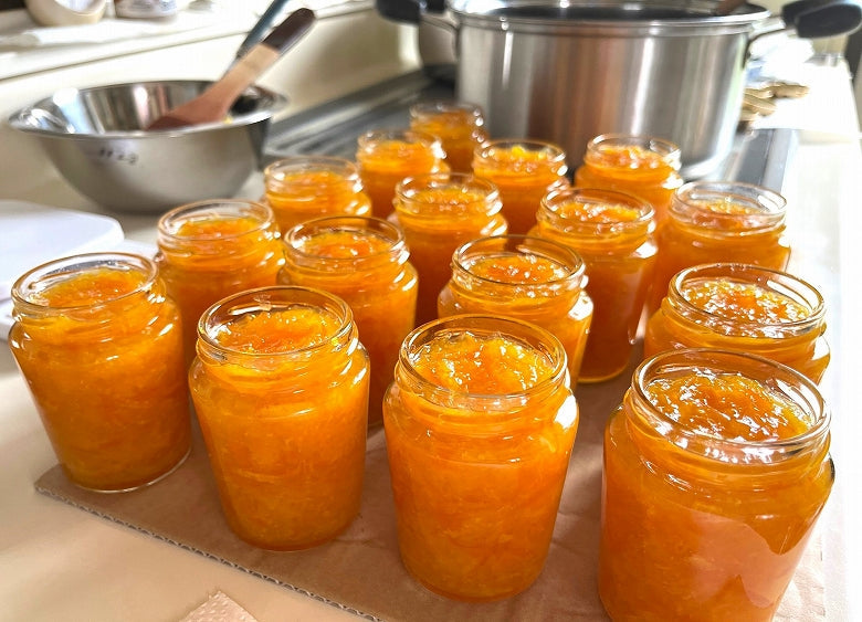 【2025年 秋、まもなく 販売が始まります！】【送料無料】「愛媛のみかんジャム」4個セット、採れたて＆作りたて、美味しさギュッ!