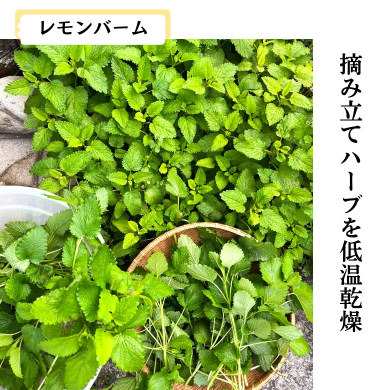 『やすらぎ』　リラックスしたいときのハーブティー　愛媛いよかんのおひめ様ブレンド