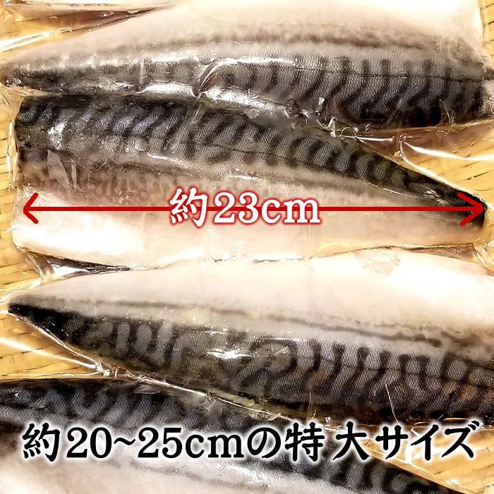 【骨取・無塩】とろサバフィーレ 2ｋｇ 特大サイズ 10～14枚　送料無料※沖縄は別途