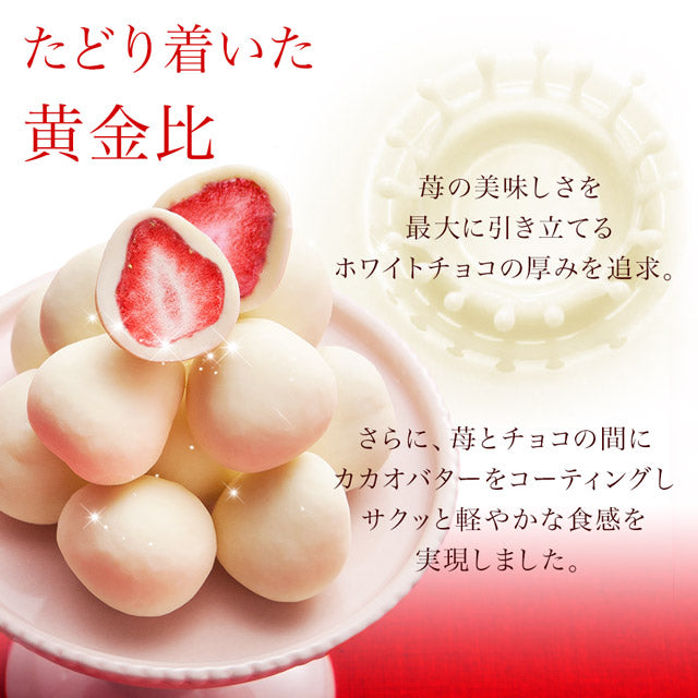 【送料込み】神戸ザッハロールと壷プリンと苺トリュフのセット 御歳暮 お歳暮 冬ギフト クリスマス スイーツ