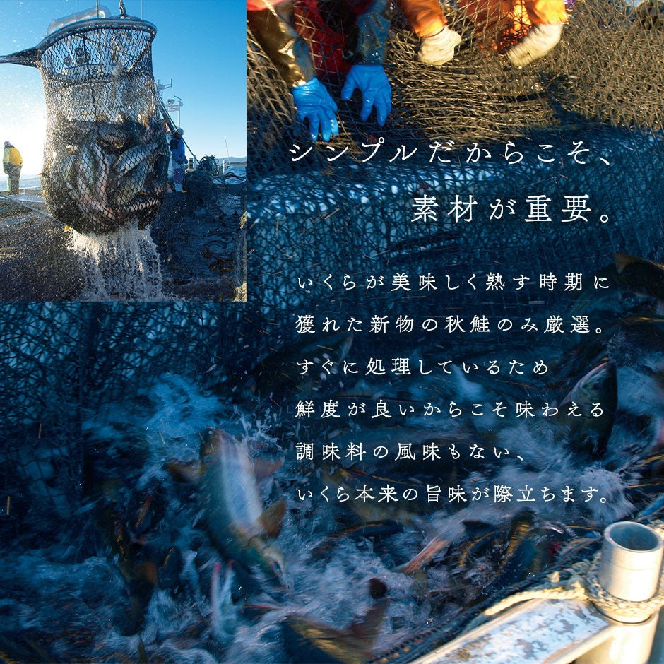 北海道 斜里産 鮭 塩いくら 110g 瓶タイプ