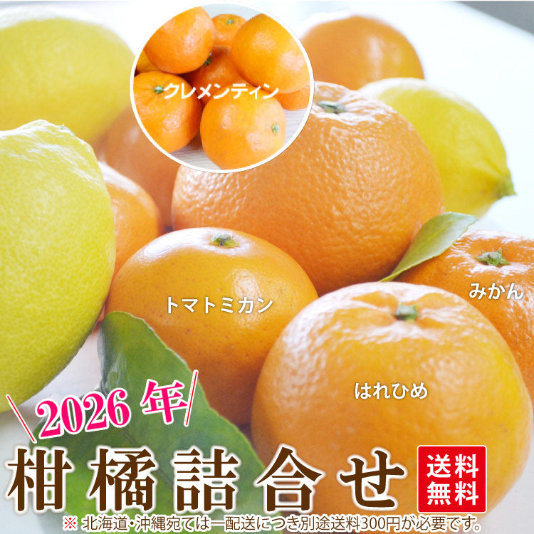 新年★旬の柑橘詰合せ　2026年★【送料無料】