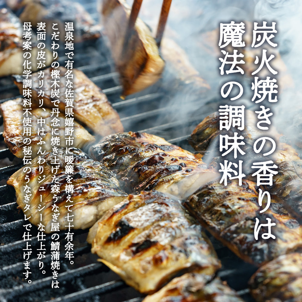 炭火焼一筋 佐賀嬉野で創業70年 さば炭火蒲焼  90g×3パック 秘伝のうなぎタレ 【送料無料】【産地直送】