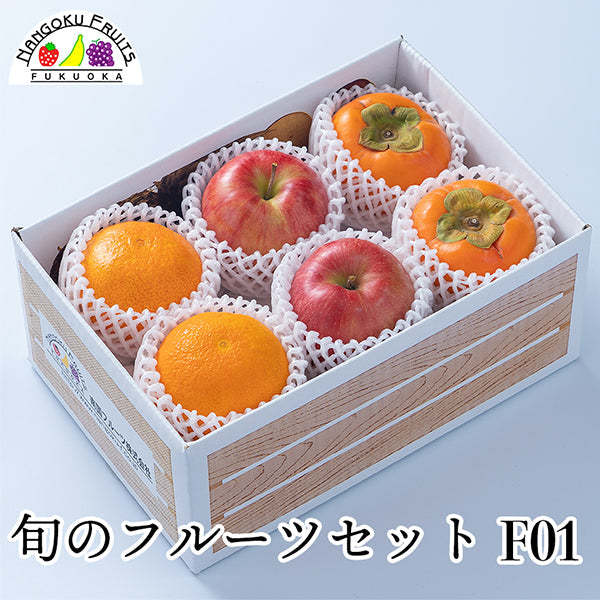 【予約販売】旬のフルーツセットF01（赤林檎・柿・デコポン）