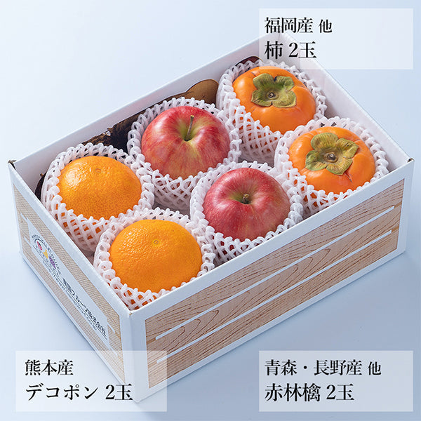 【予約販売】旬のフルーツセットF01（赤林檎・柿・デコポン）