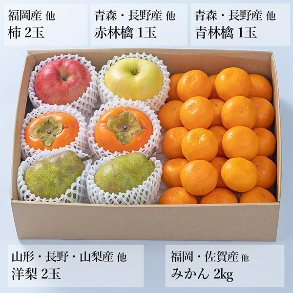 【予約販売】旬のフルーツセットF02（洋梨・赤・青林檎・柿・みかん）