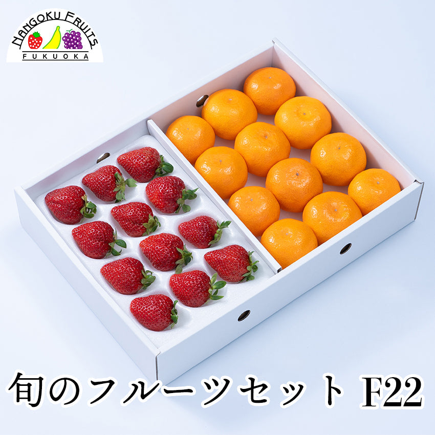 【予約販売】旬のフルーツセットF22（あまおう・蜜柑）