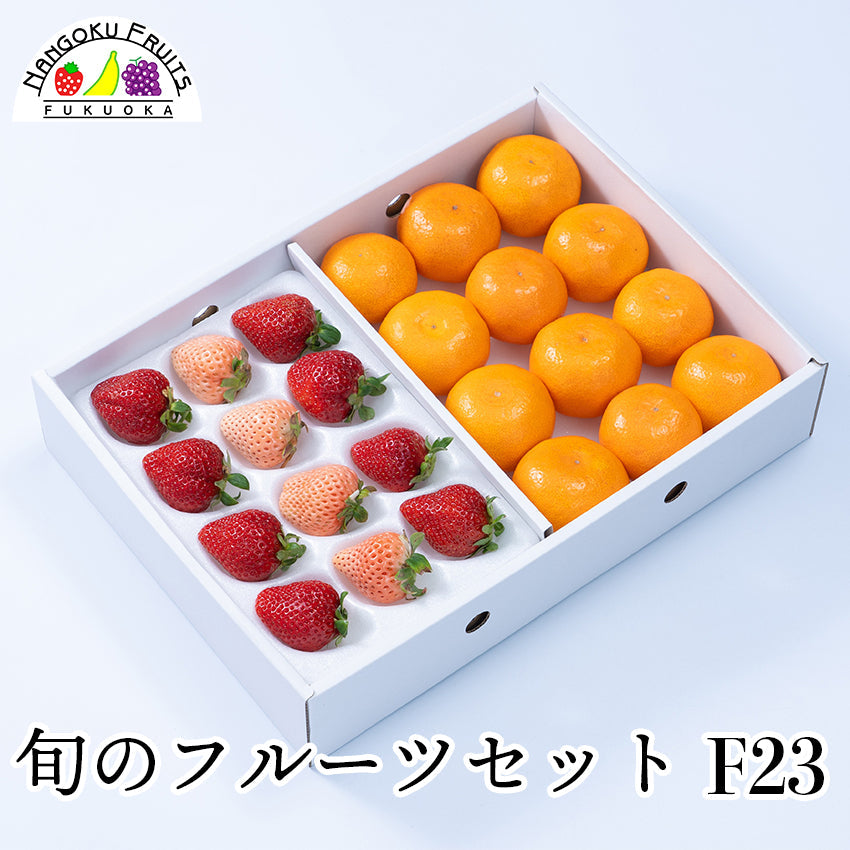 【予約販売】旬のフルーツセットF23（紅白苺・蜜柑）