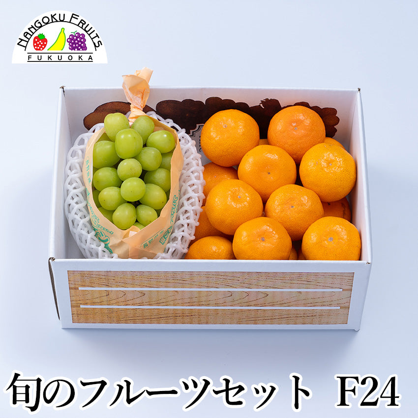 【送料無料】旬のフルーツセットF24（シャインマスカット・蜜柑）