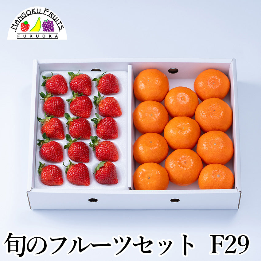【予約販売】旬のフルーツセットF29（あまおう・紅まる君）