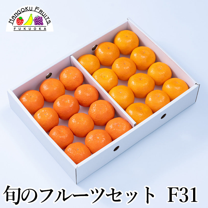 【予約販売】旬のフルーツセットF31（蜜柑・紅まる君）