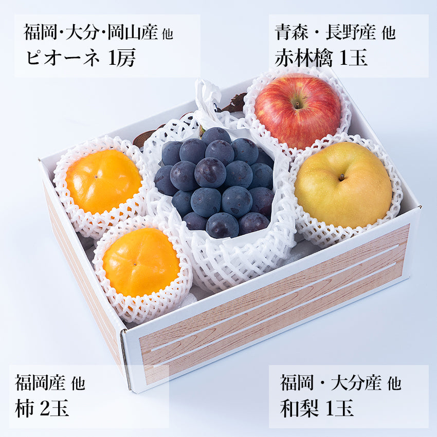 【予約商品】旬のフルーツセットA01（ピオーネ・赤林檎・和梨・柿）