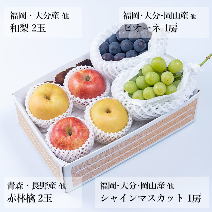 【予約商品】旬のフルーツセットA03（シャイン・ピオーネ・赤林檎・和梨）