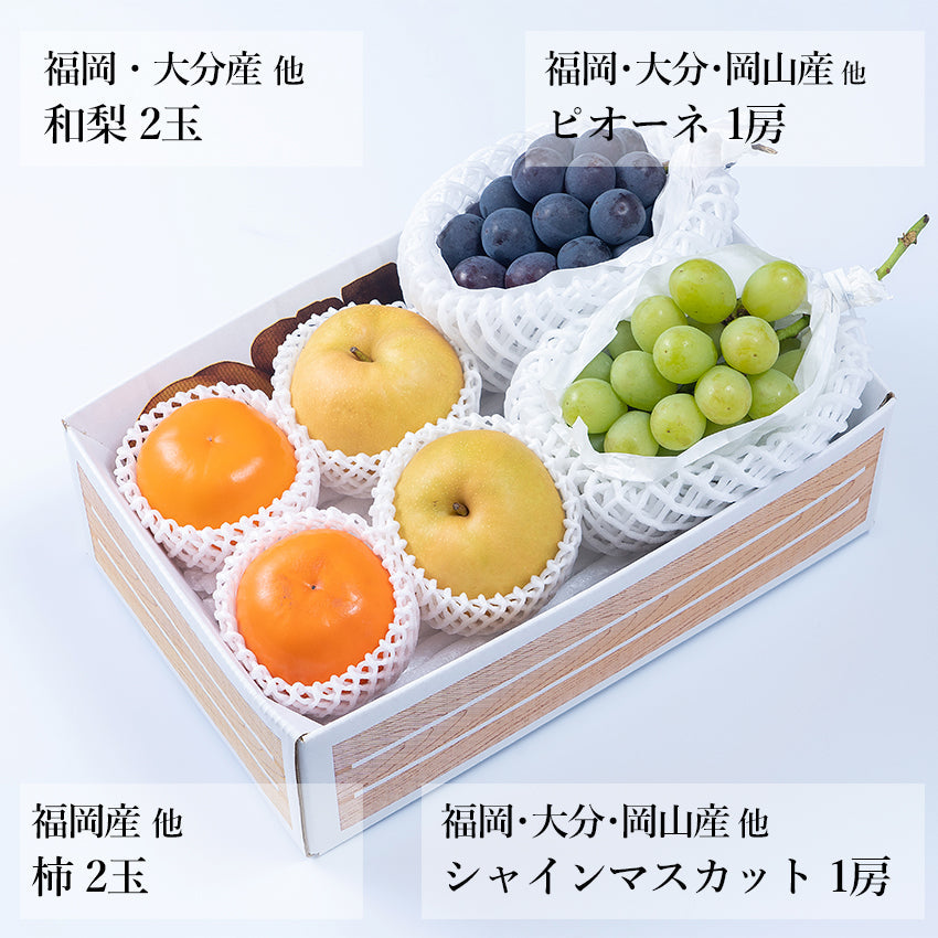 【予約商品】旬のフルーツセットA04（シャイン・ピオーネ・和梨・柿）