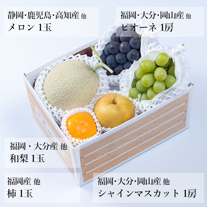 【予約商品】旬のフルーツセットA06（シャイン・ピオーネ・メロン・和梨・柿）