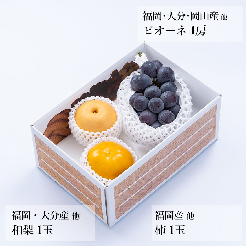 【予約商品】旬のフルーツセットA09（ピオーネ・和梨・柿）