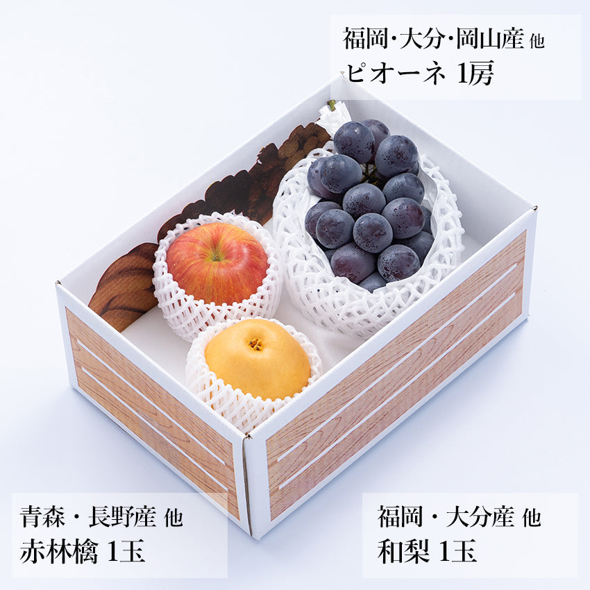 【予約商品】旬のフルーツセットA11（ピオーネ・赤林檎・和梨）