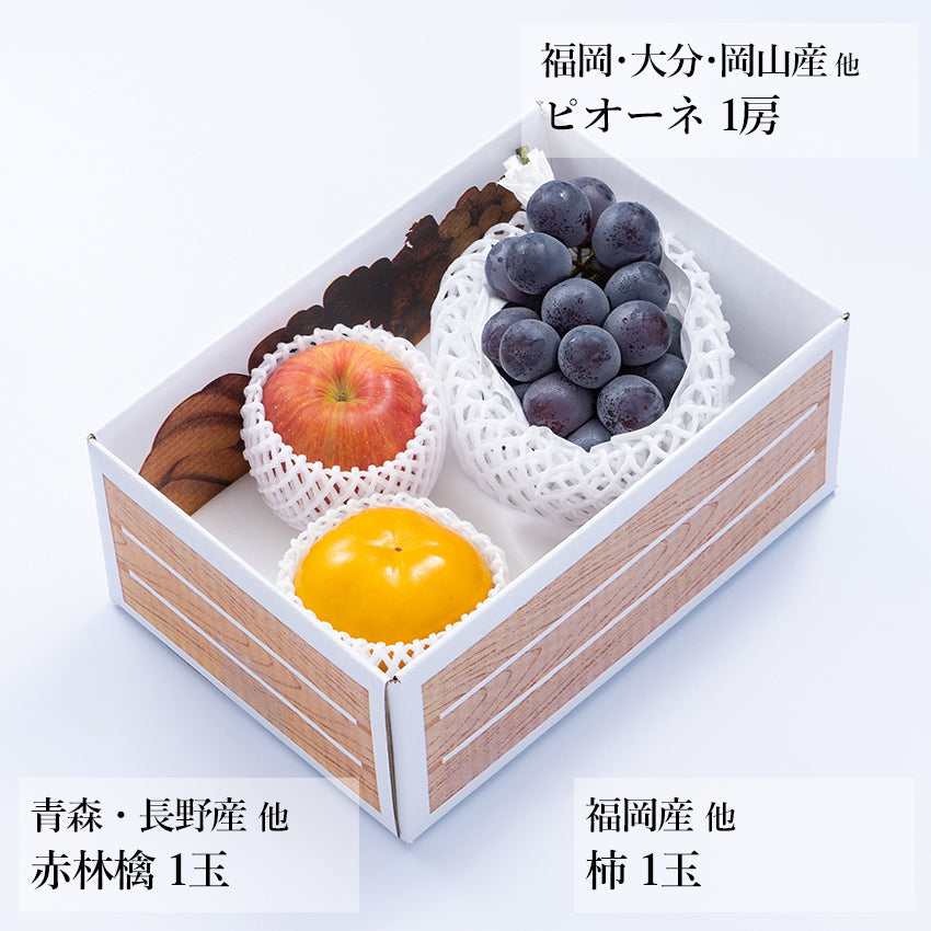 【予約商品】旬のフルーツセットA12（ピオーネ・赤林檎・柿）