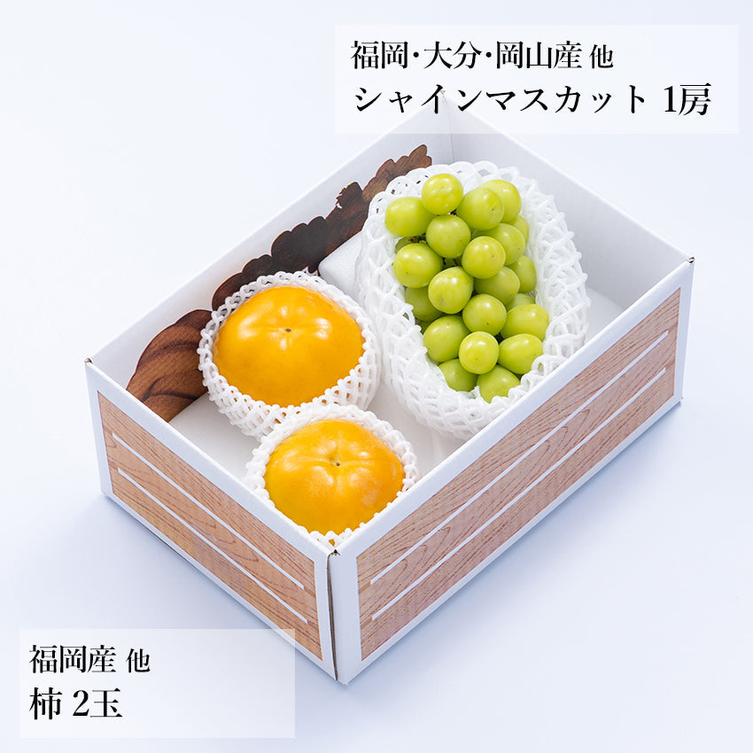 【予約商品】旬のフルーツセットA15（シャイン・柿）