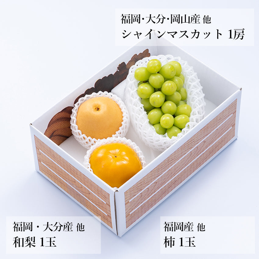 【予約商品】旬のフルーツセットA16（シャイン・和梨・柿）