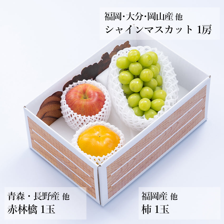 【予約商品】旬のフルーツセットA18（シャイン・赤林檎・柿）