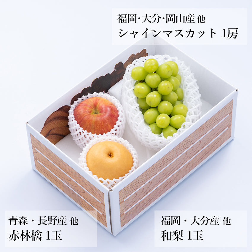 【予約商品】旬のフルーツセットA19（シャイン・赤林檎・和梨）