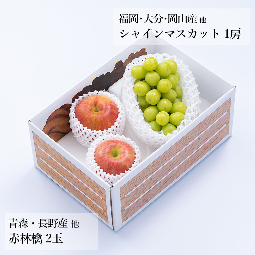 【予約商品】旬のフルーツセットA20（シャイン・赤林檎）