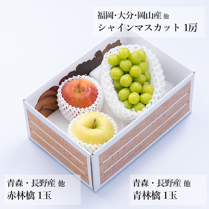 【予約販売】旬のフルーツセットA21（シャイン・赤林檎・青林檎）