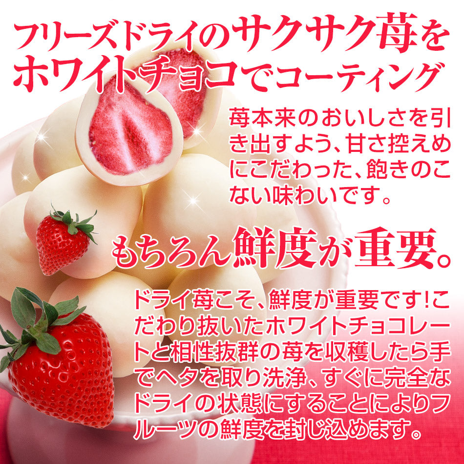壷プリンとチーズケーキと苺トリュフのセット 【母の日】