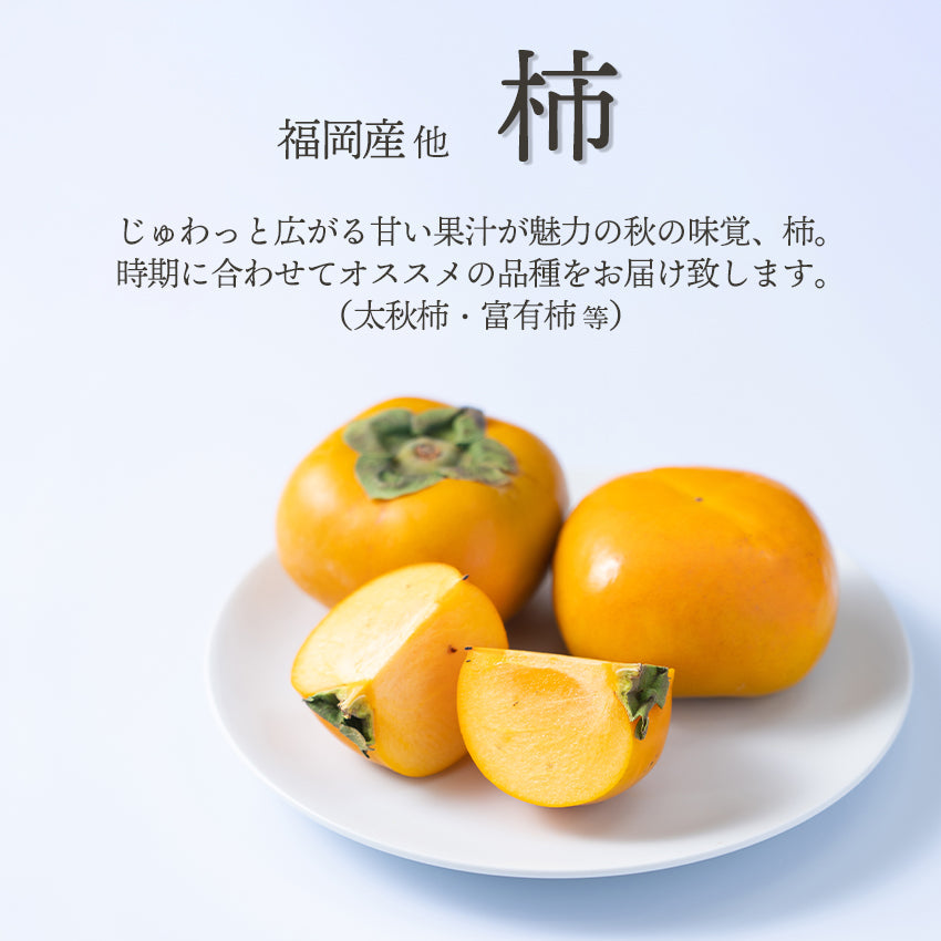 【予約商品】旬のフルーツセットA08（ピオーネ・柿）
