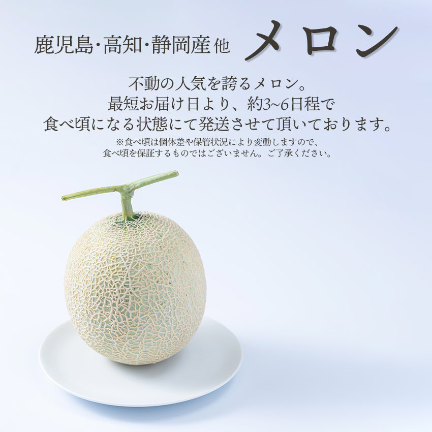 【送料無料】旬のフルーツセットF21（メロン・シャインマスカット）