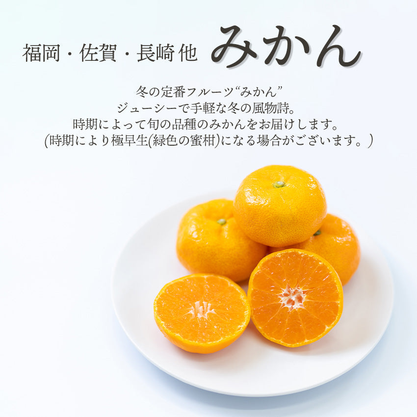 【送料無料】旬のフルーツセットF24（シャインマスカット・蜜柑）