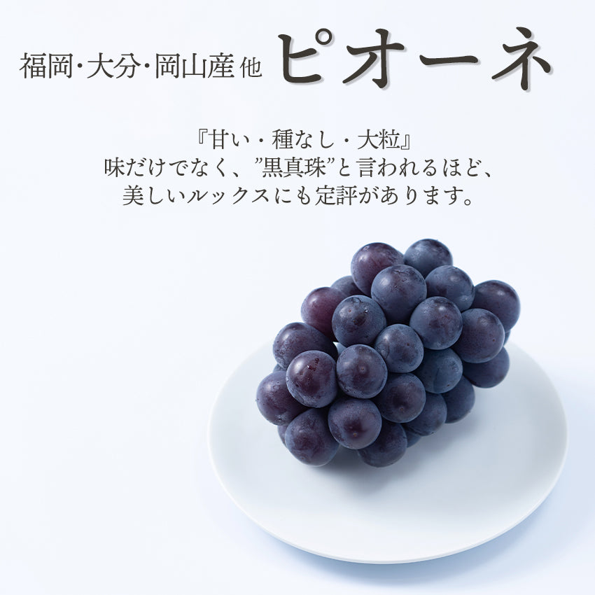 【予約商品】旬のフルーツセットA04（シャイン・ピオーネ・和梨・柿）