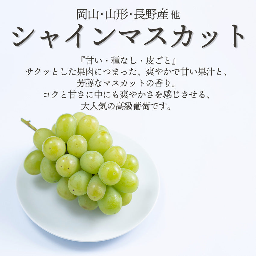 【予約販売】旬のフルーツセットF26（シャインマスカット・こみつ）